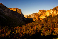 Yosemite National Park 2020